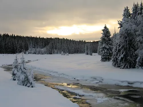 Šumavou na běžkách – údolím Roklanského potoka