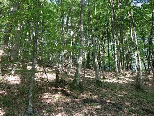 Hradiště Darebnice nedaleko Chocně