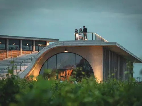 Stolování ve vinicích