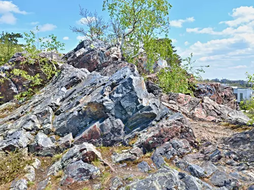 Naučná stezka přírodním areálem Botanické zahrady v Troji