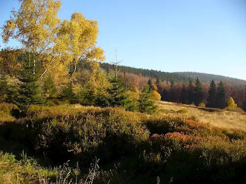 Vrchol Ostrý v Beskydech