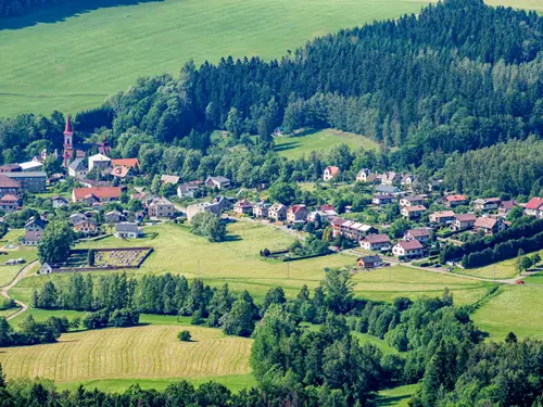 Machov