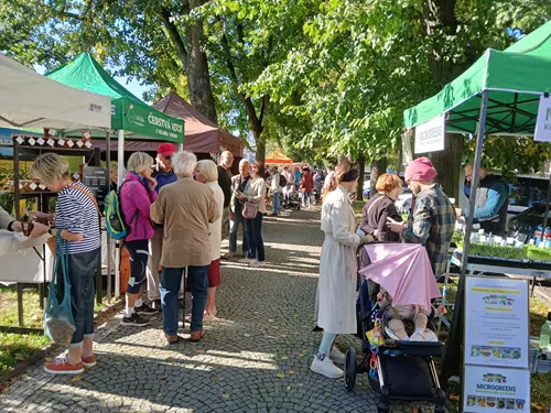 Východočeské farmářské trhy