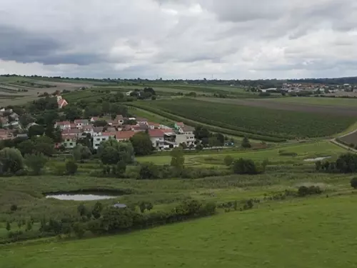 Mokřadní biotop Čejč na místě ledovcového jezera