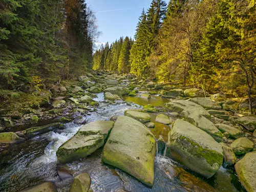 Řeka Vydra – nespoutaná perla Šumavy