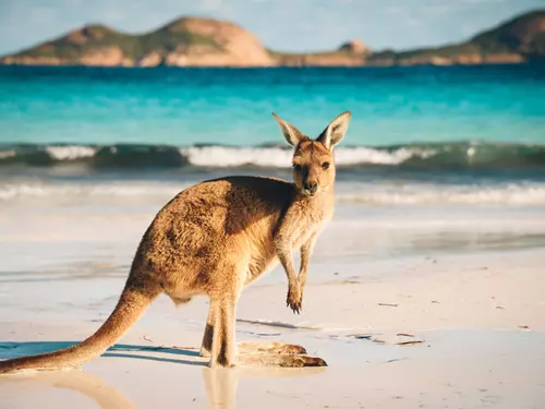 Aussie & Kiwi Film Fest: 10. ročník festivalu filmů z Austrálie a Nového Zélandu startuje