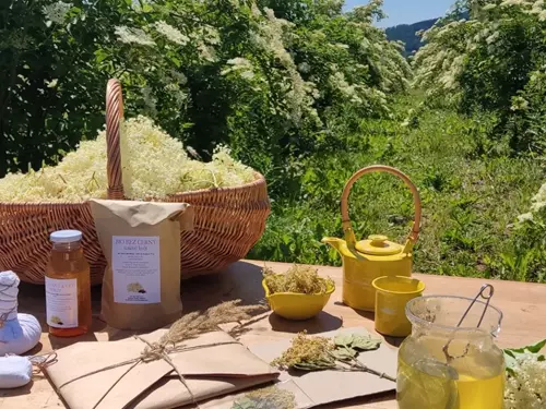 Farma Křížov pod Blaníkem – Před bezem klekni
