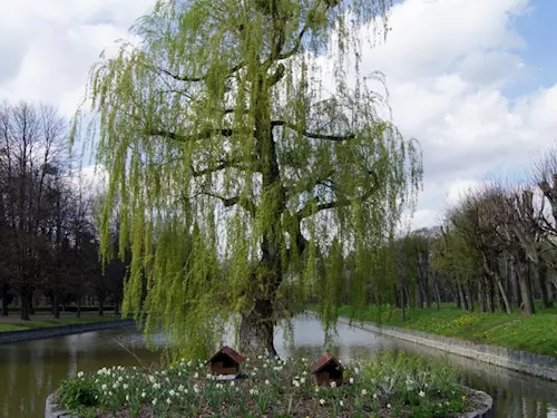 Zámecký park Bartošovice s nejmohutnějším a nejstarším platanem v ČR