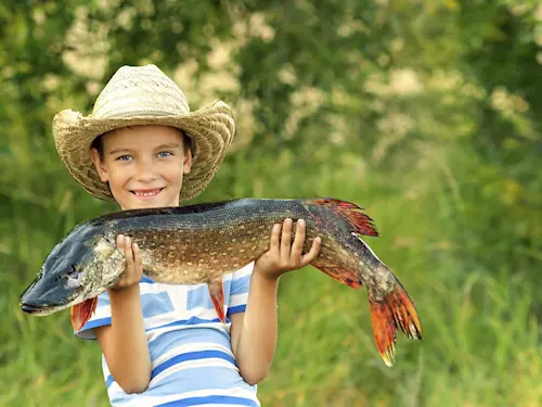 Pstruhařství Hůrka – chytání ryb na Lipně