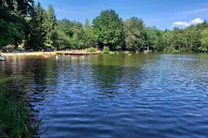 rybník mrhal