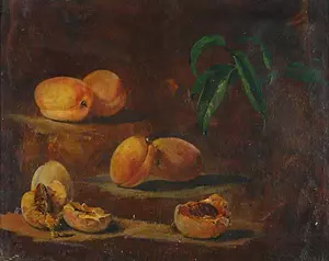 Zákupy Navrátil