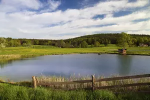 Rybník v České Kanadě