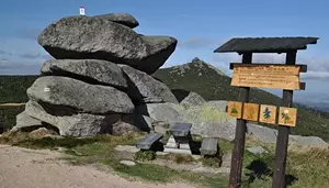 Tvarožník